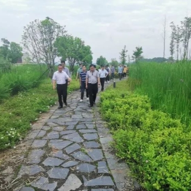 導覽“粽”述，系統了解赤龍湖國家濕地公園